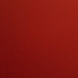 Meet your Posher, Rylee